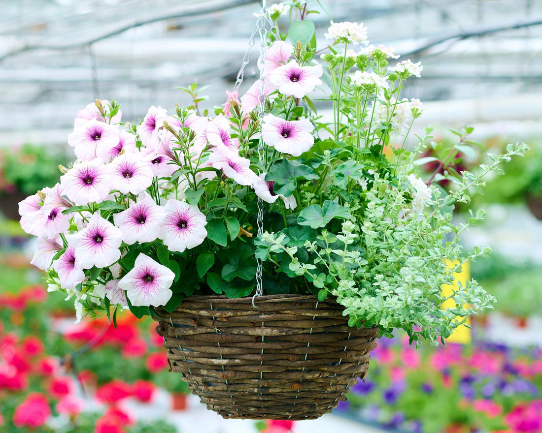 Create Your Own Summer Basket