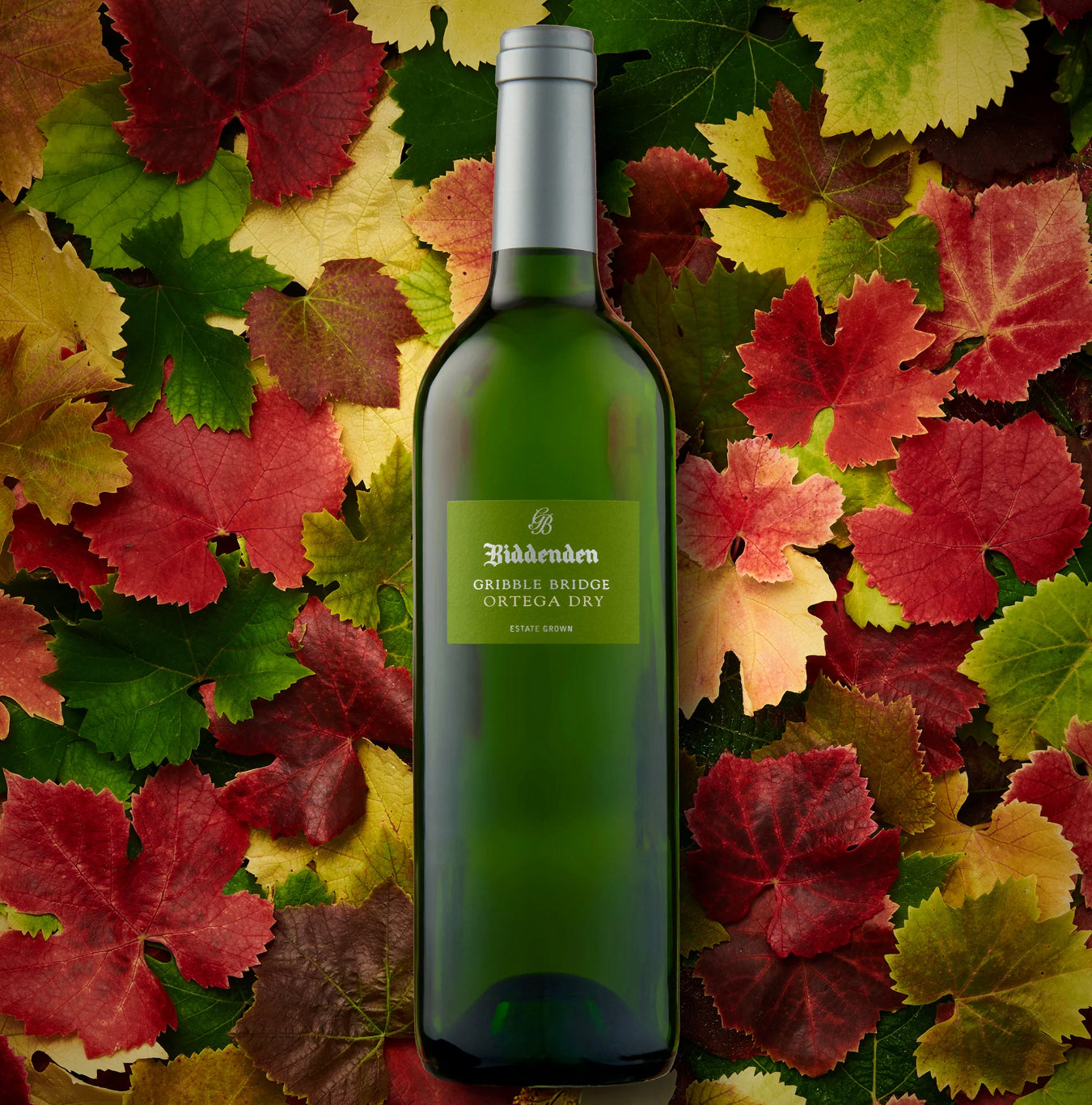 Biddenden Vineyard