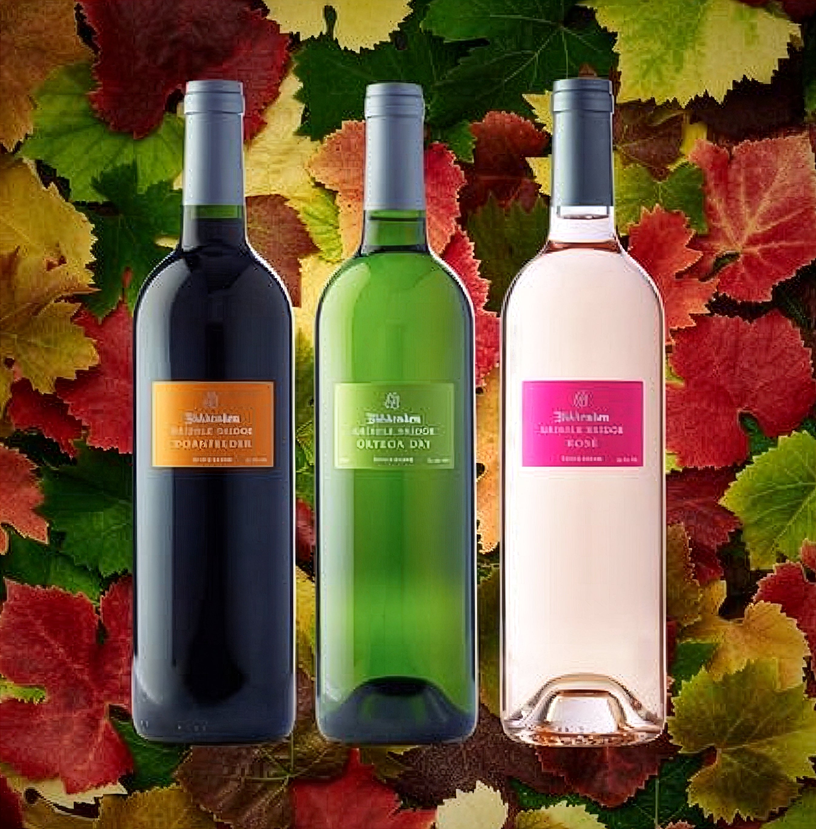 Biddenden Vineyard