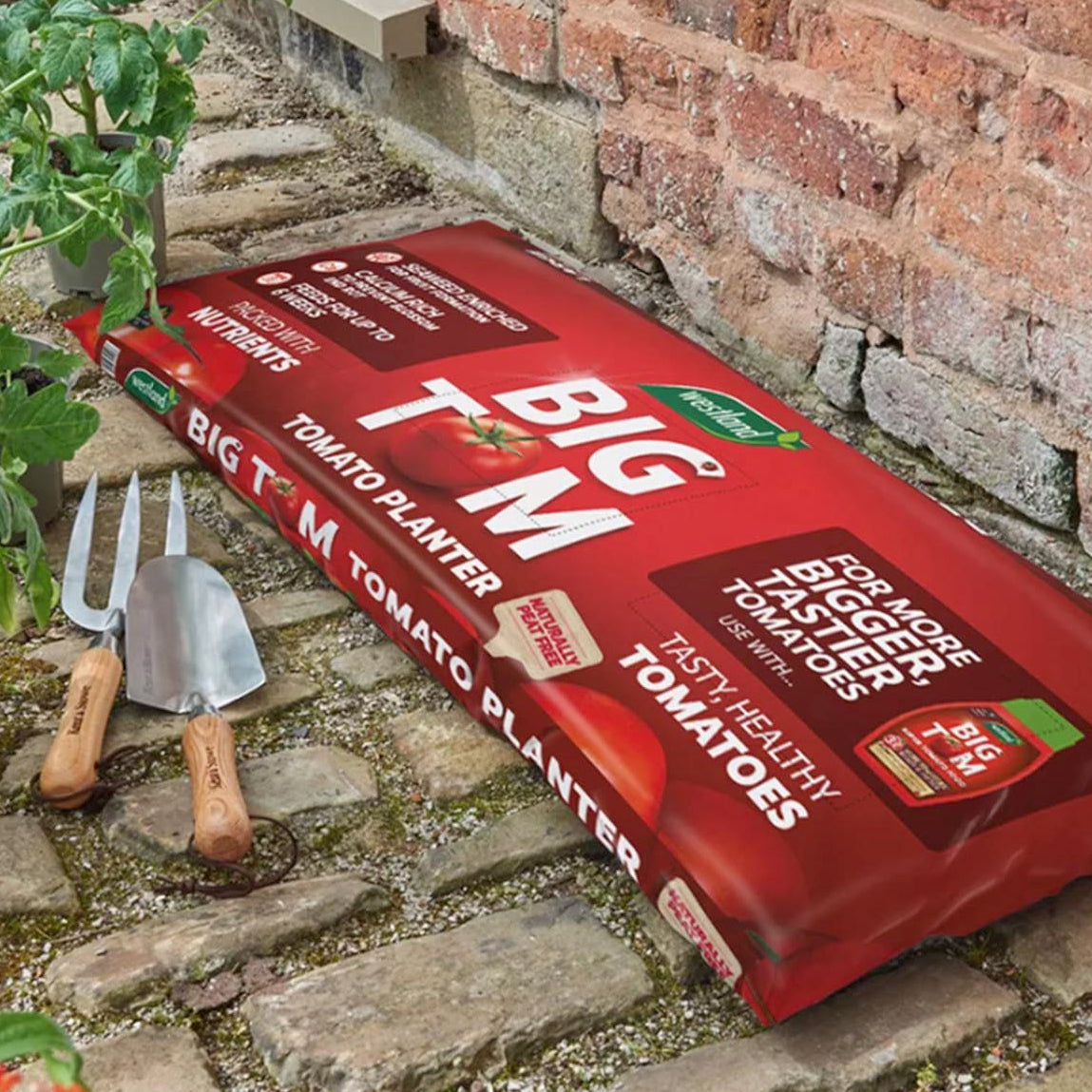 Red bag of Big TOM tomato planter on a stone patio with gardening tools and plants.
