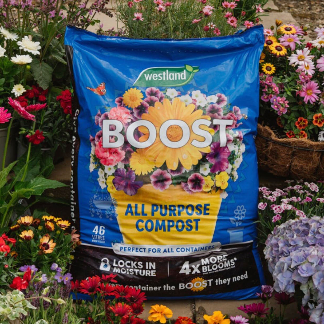 Bag of Westland Boost All Purpose Compost surrounded by colourful flowers