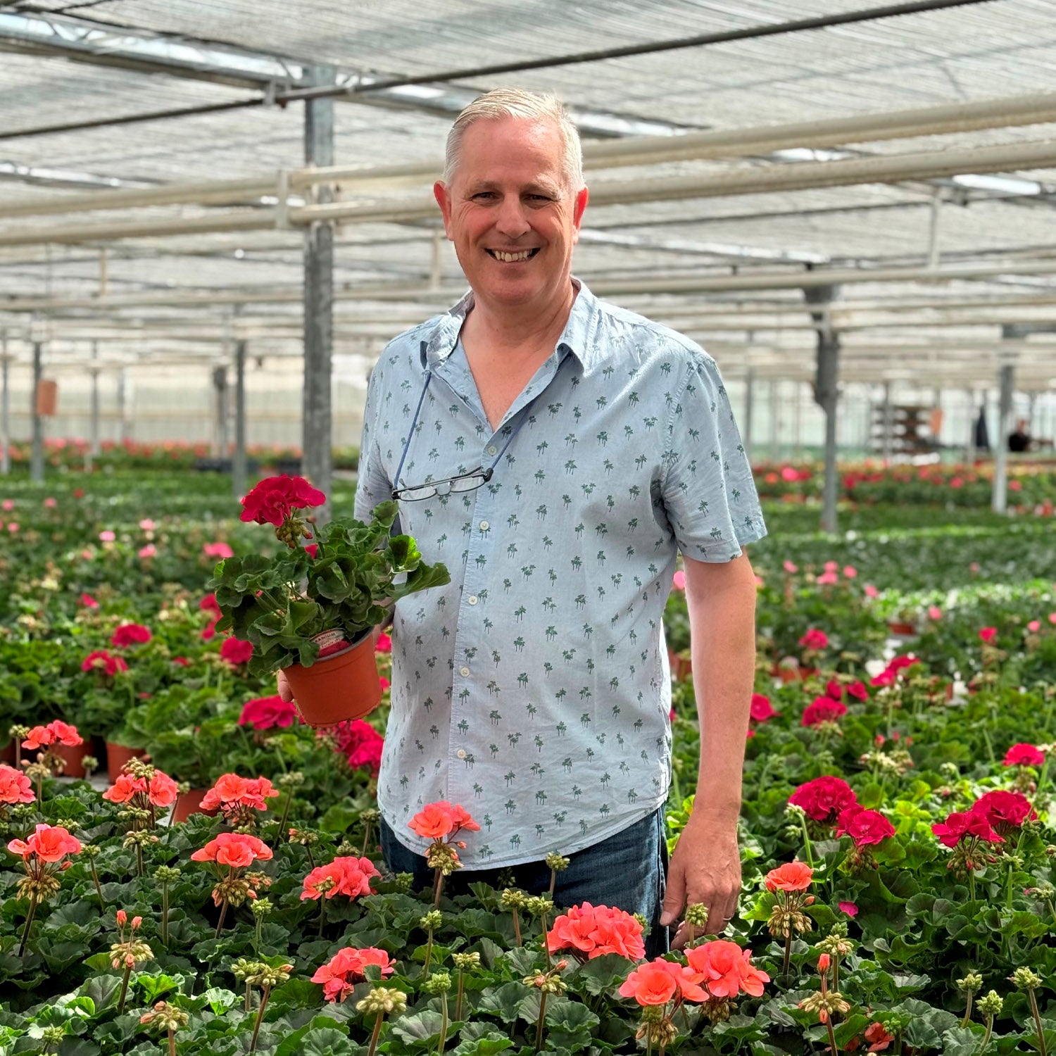 Man standing among potted flowers in a greenhouse