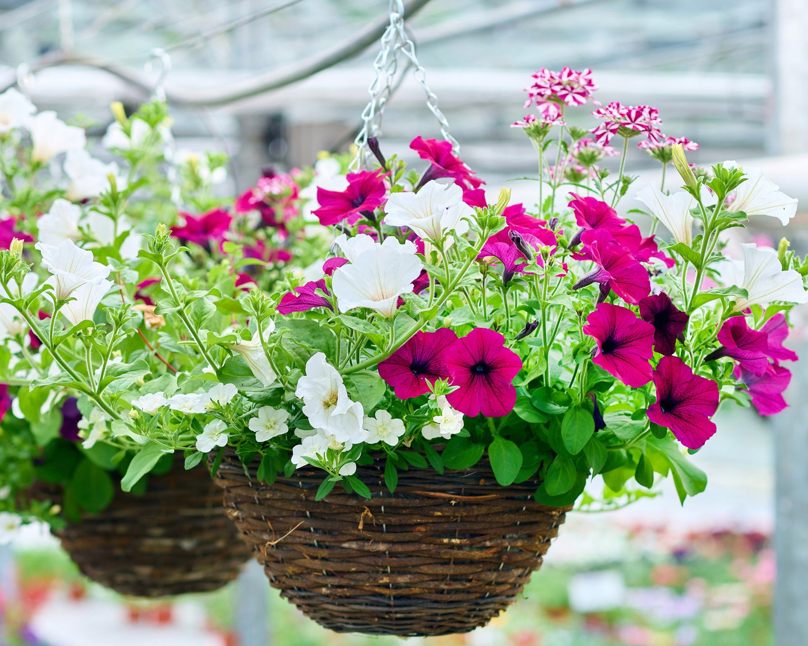 Create Your Own Summer Basket