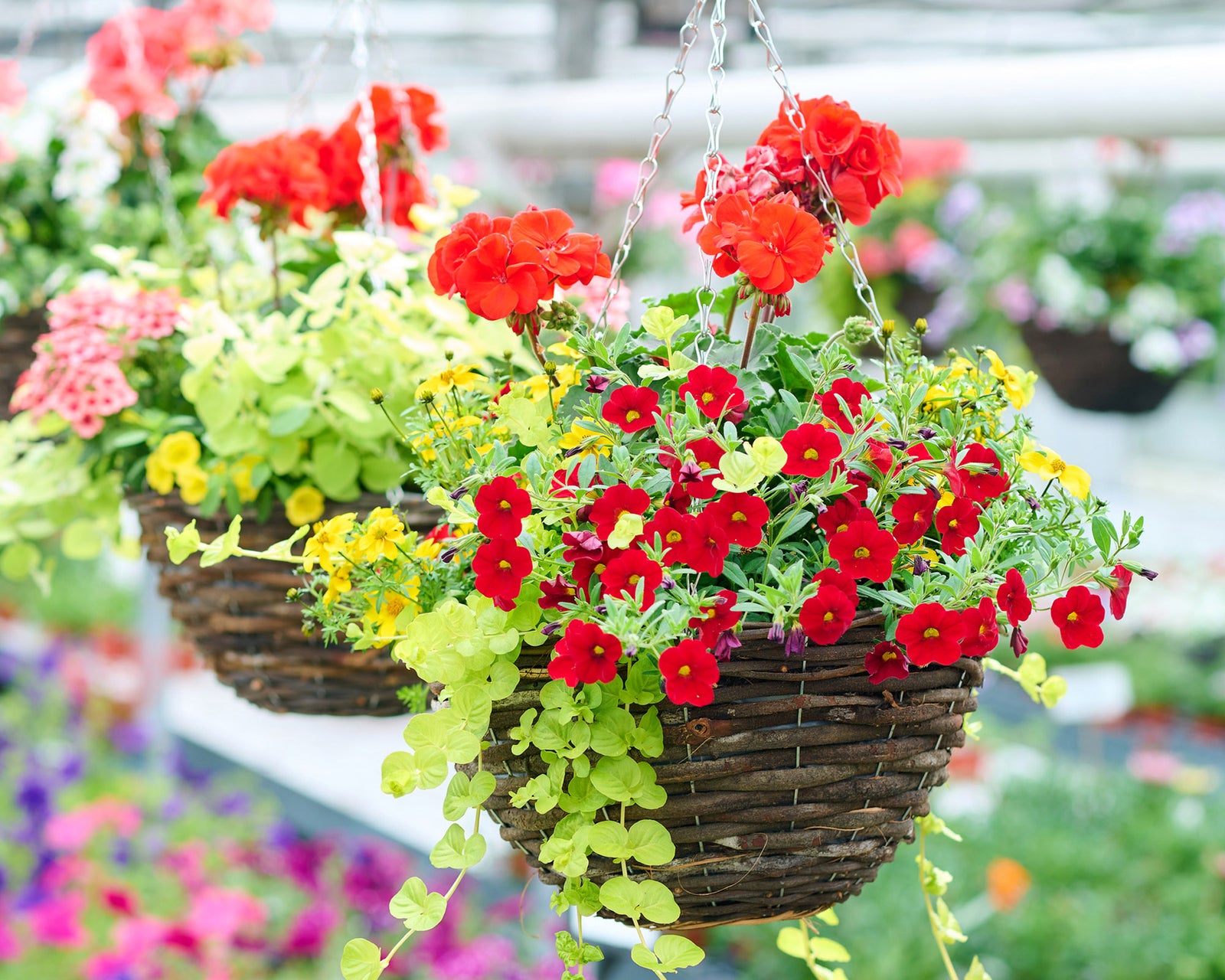 Create Your Own Summer Basket